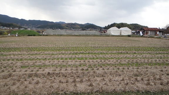 f0000521_20322228.jpg