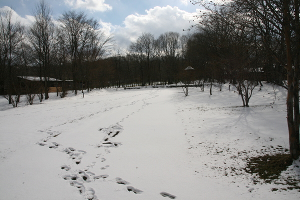 b0174425_12465370.jpg
