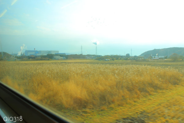 b0304227_21094762.jpg