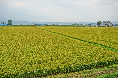 f0037227_0293295.jpg