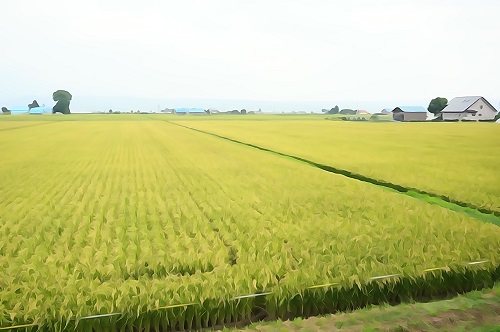 f0037227_0314731.jpg