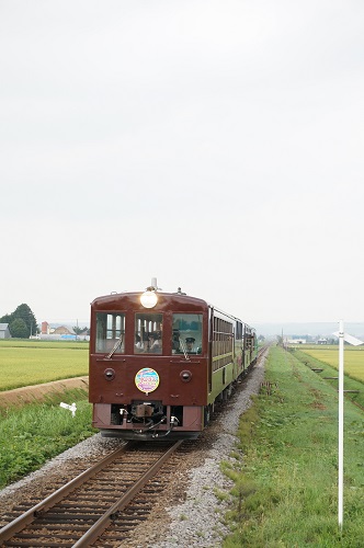 f0037227_1103752.jpg