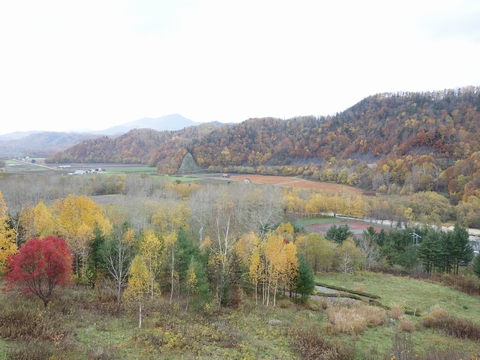 b0042334_17231119.jpg