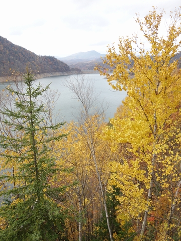 b0042334_17232156.jpg