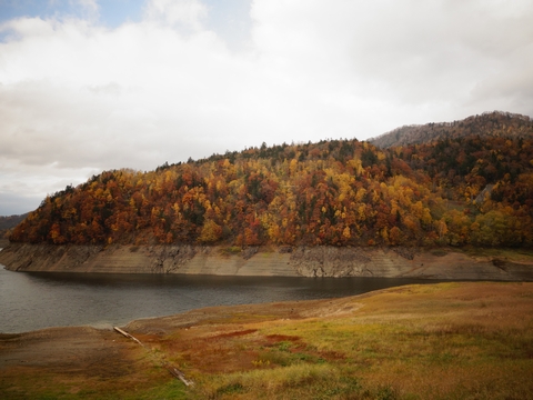b0042334_17234814.jpg