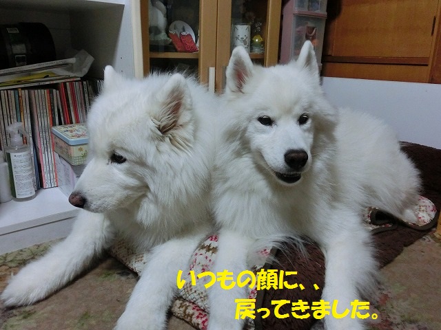 e0196135_1920477.jpg