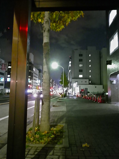 b0027736_033458.jpg