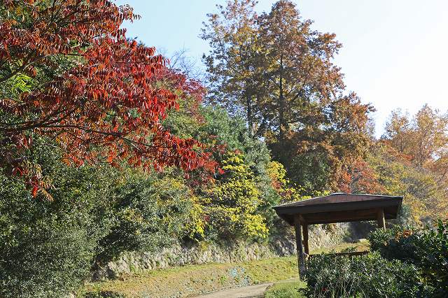 a0242438_17193047.jpg