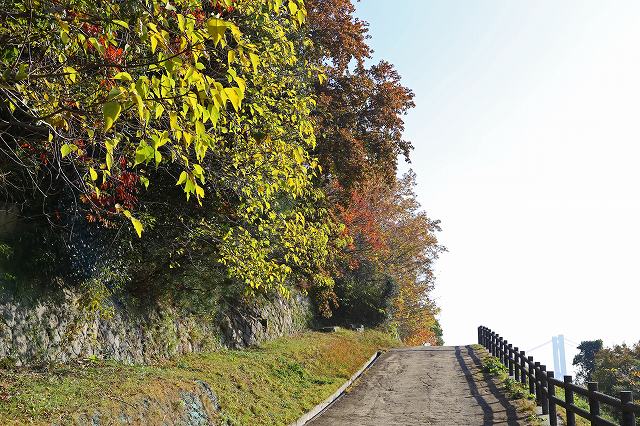 a0242438_1720247.jpg