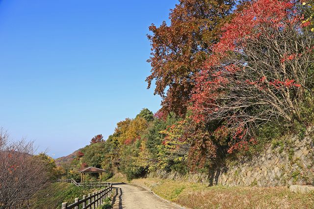 a0242438_17203432.jpg