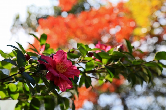 a0242438_17212051.jpg