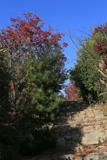 a0242438_17222397.jpg