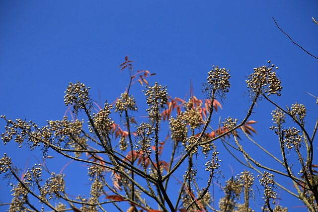 a0242438_17232655.jpg