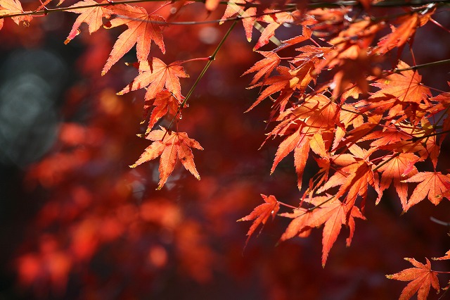 a0242438_17234730.jpg