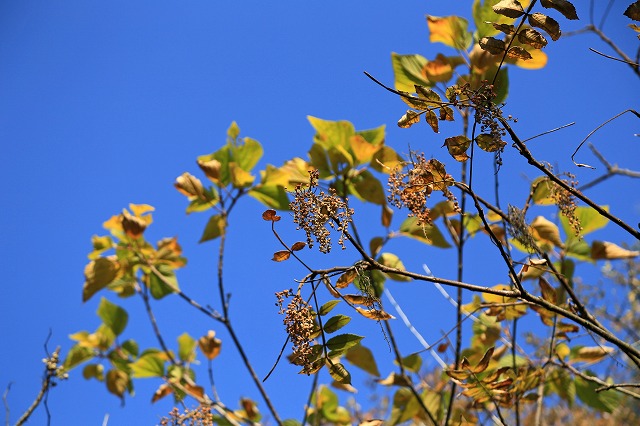 a0242438_1724745.jpg