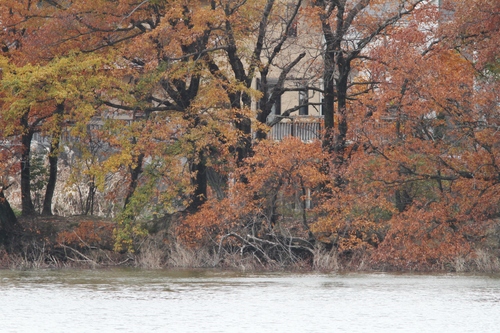 c0172139_8164136.jpg