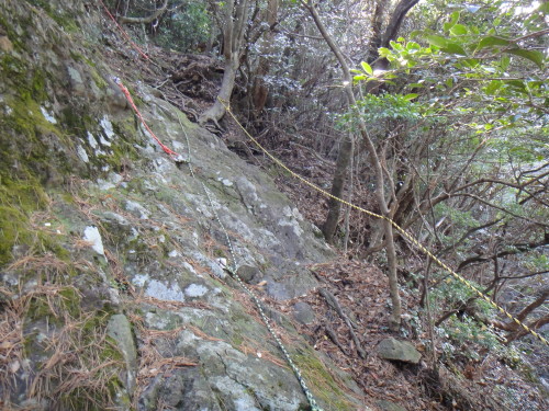 c0179351_205518.jpg
