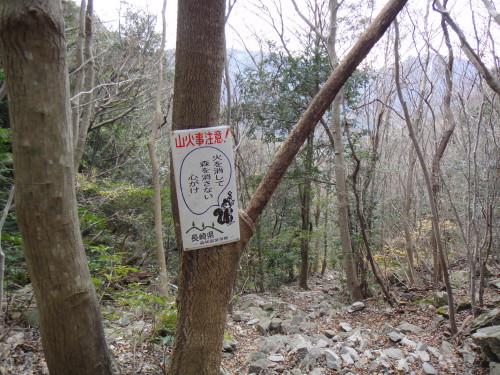 c0179351_20573490.jpg