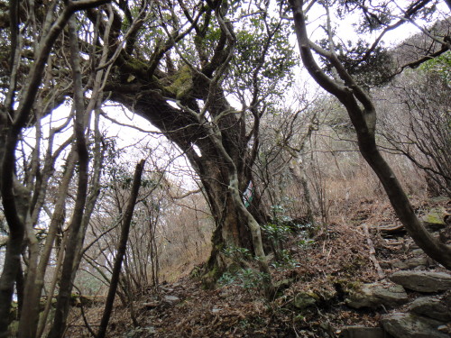 c0179351_2095828.jpg