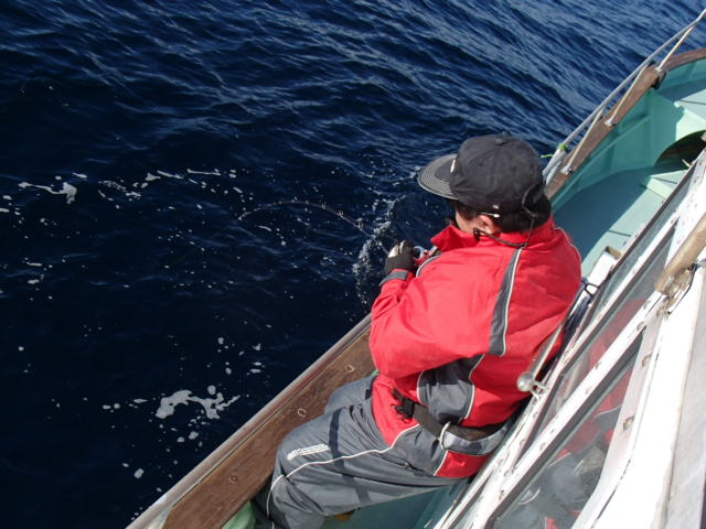 a0248152_1732342.jpg