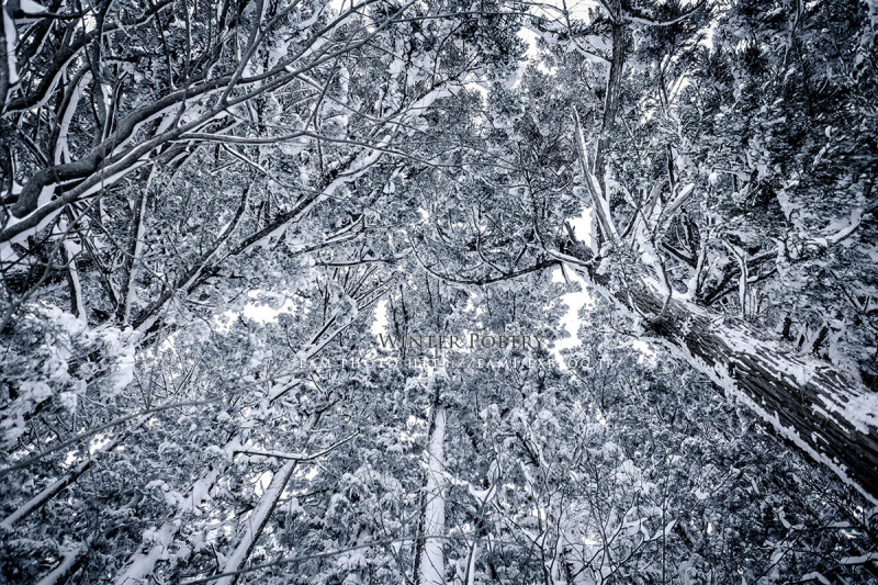 b0310059_22514844.jpg