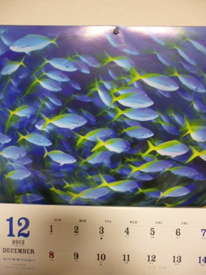 d0145759_2030046.jpg