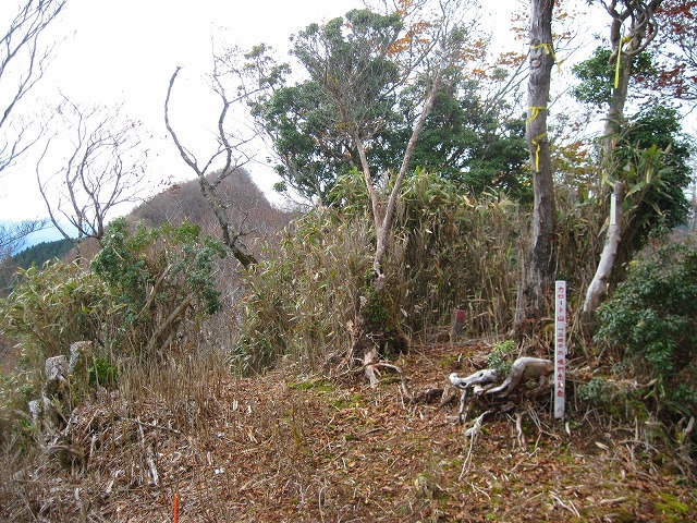 c0219866_6133337.jpg