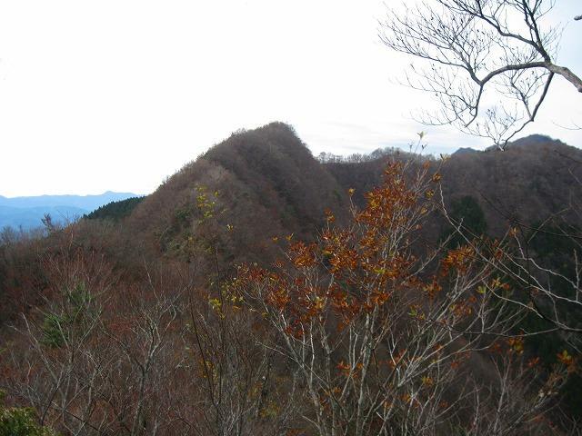 c0219866_6134061.jpg