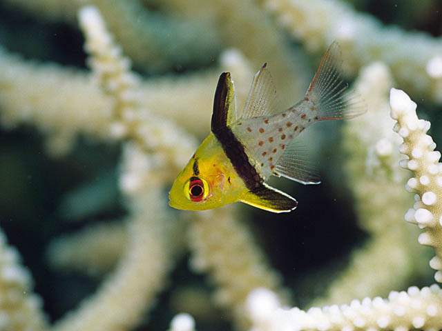 f0199866_7532652.jpg