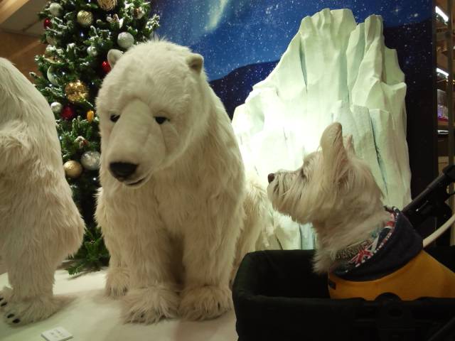 b0242873_2283970.jpg