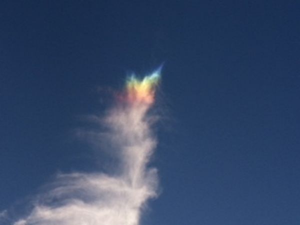 b0202185_184395.jpg