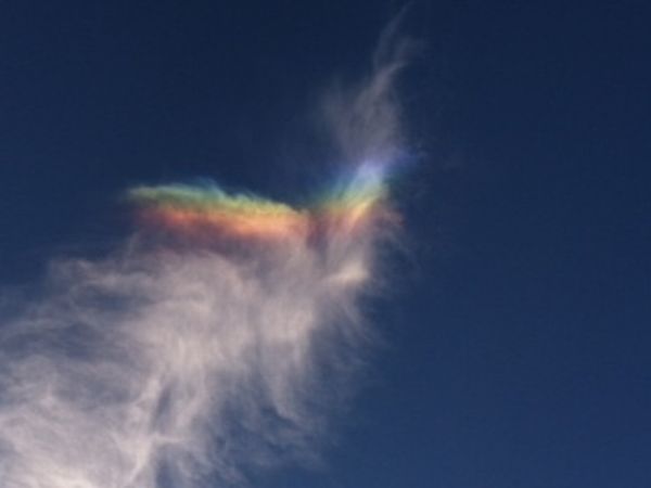 b0202185_185284.jpg