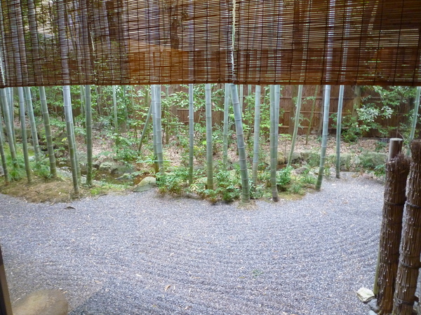 c0190486_2046885.jpg
