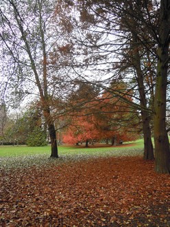 e0206902_2052866.jpg