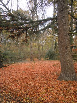 e0206902_2052936.jpg