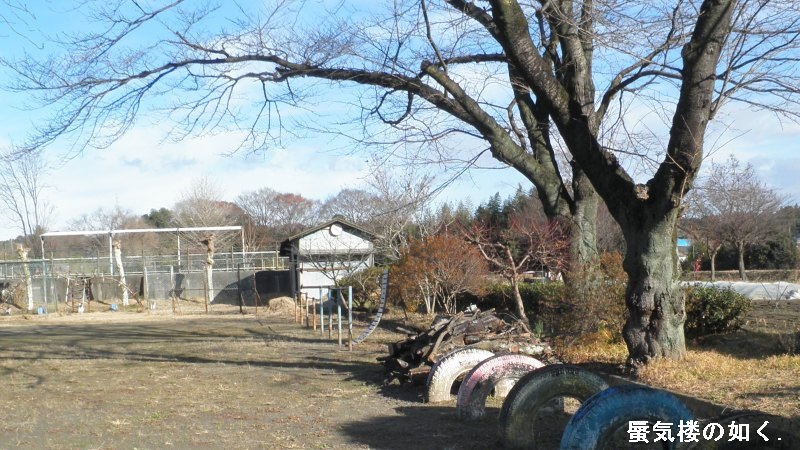 e0304702_1384669.jpg