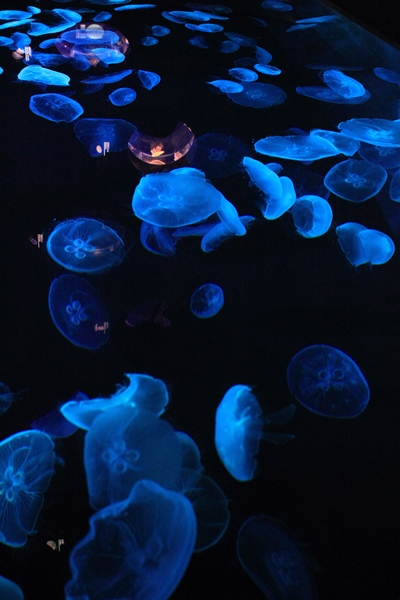 c0228404_2123644.jpg