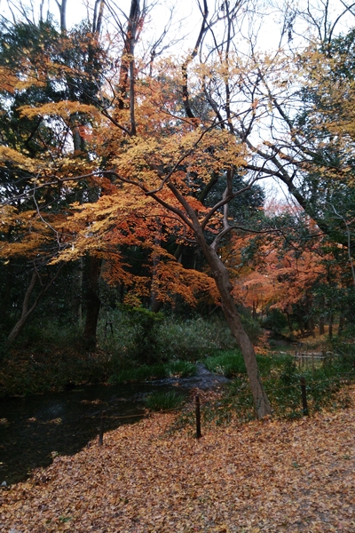c0228404_3101089.jpg