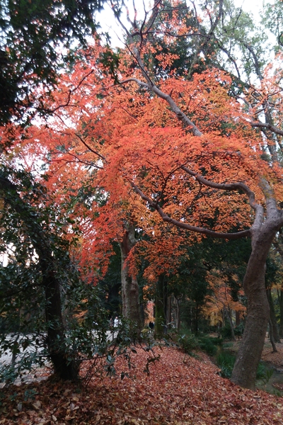 c0228404_310550.jpg
