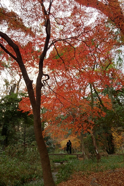 c0228404_335734.jpg