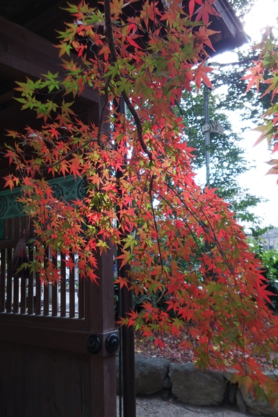 c0228404_395513.jpg