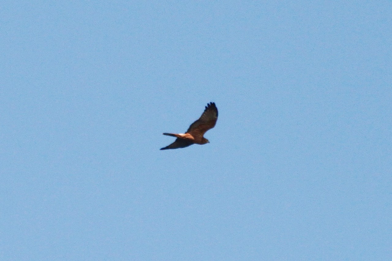 e0327805_2334552.jpg