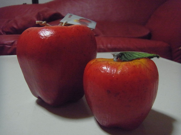 e0203009_2340304.jpg