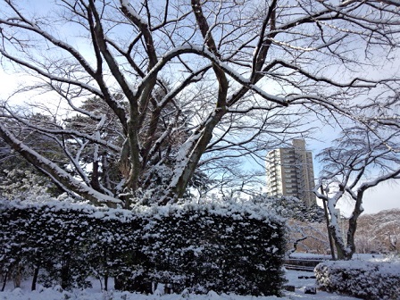 f0284409_14275920.jpg