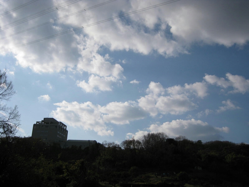 f0246611_16434127.jpg