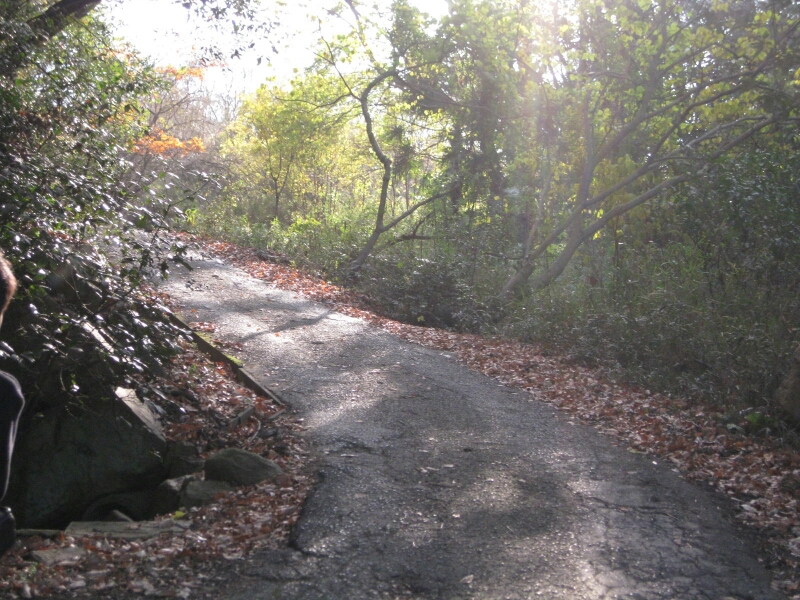 f0246611_1650969.jpg