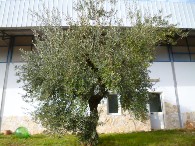 f0315911_3121434.jpg