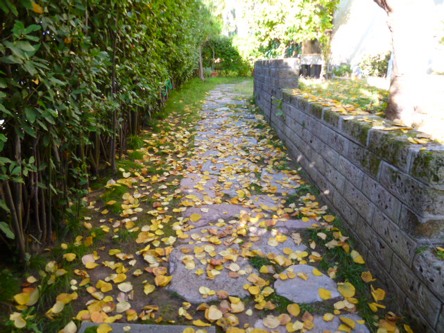 f0315911_331042.jpg