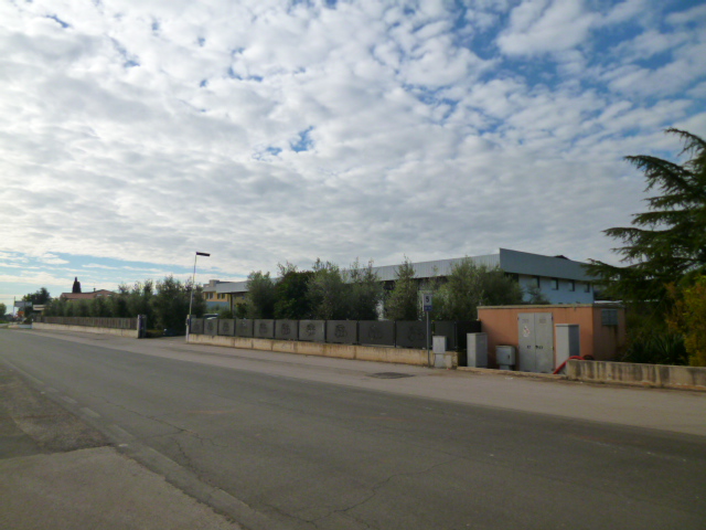 f0315911_383651.jpg