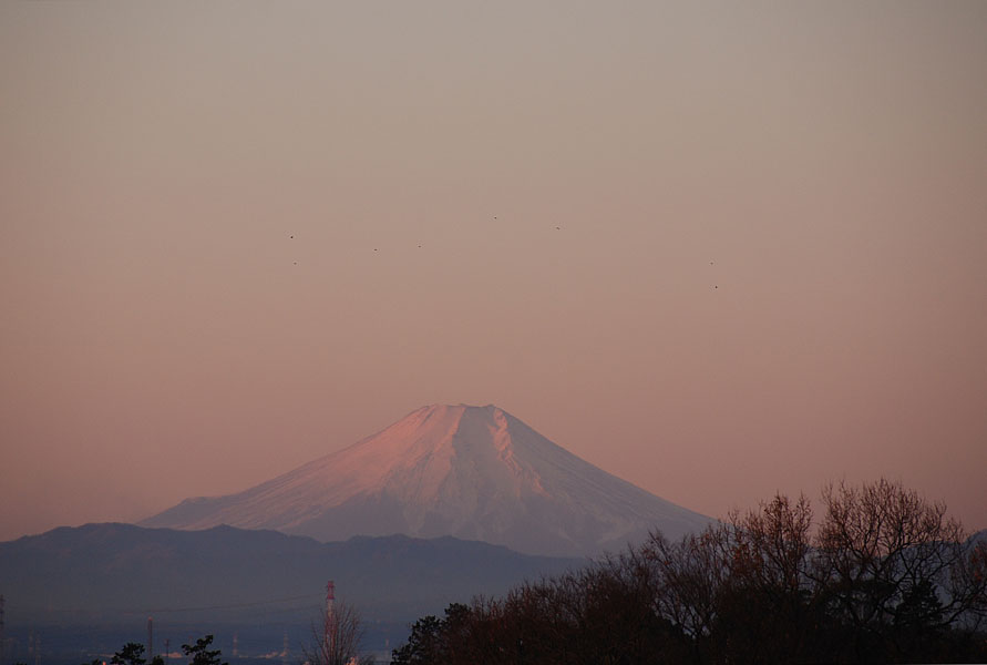 f0206417_1619353.jpg